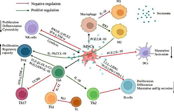 63fe761b E531 46f2 969c Fe501eb112a1