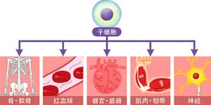 893042cf Ae2d 4f59 Ace8 56c49a1f5815 300x150